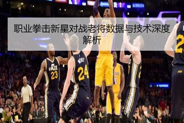 职业拳击新星对战老将数据与技术深度解析